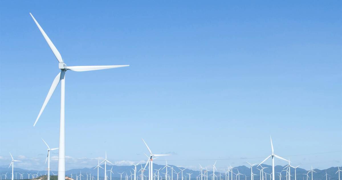 Reforma eléctrica ahuyentará 3 mil mdd al año del sector eólico, advierten