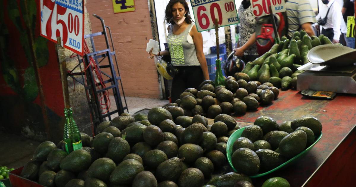 Mantiene crecimiento inflación de Monterrey