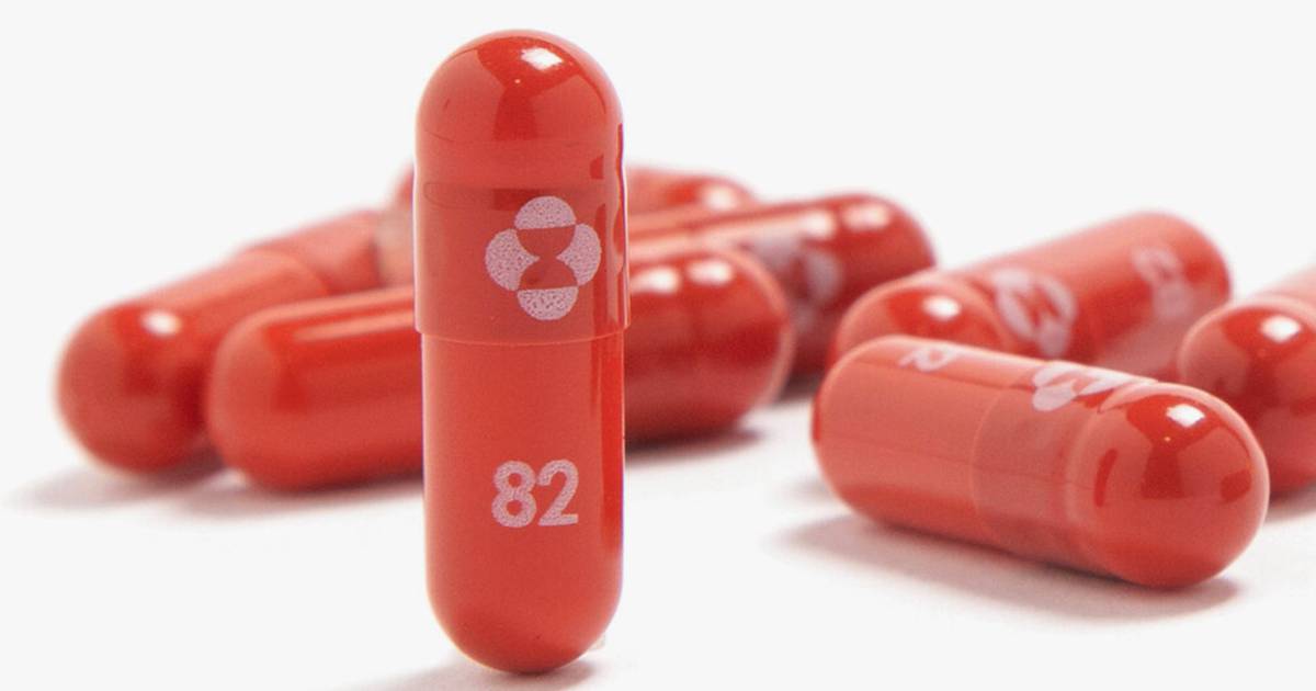 Molnupiravir, pastilla vs. COVID, elimina el virus SARS-CoV-2 activo en tres días: estudio