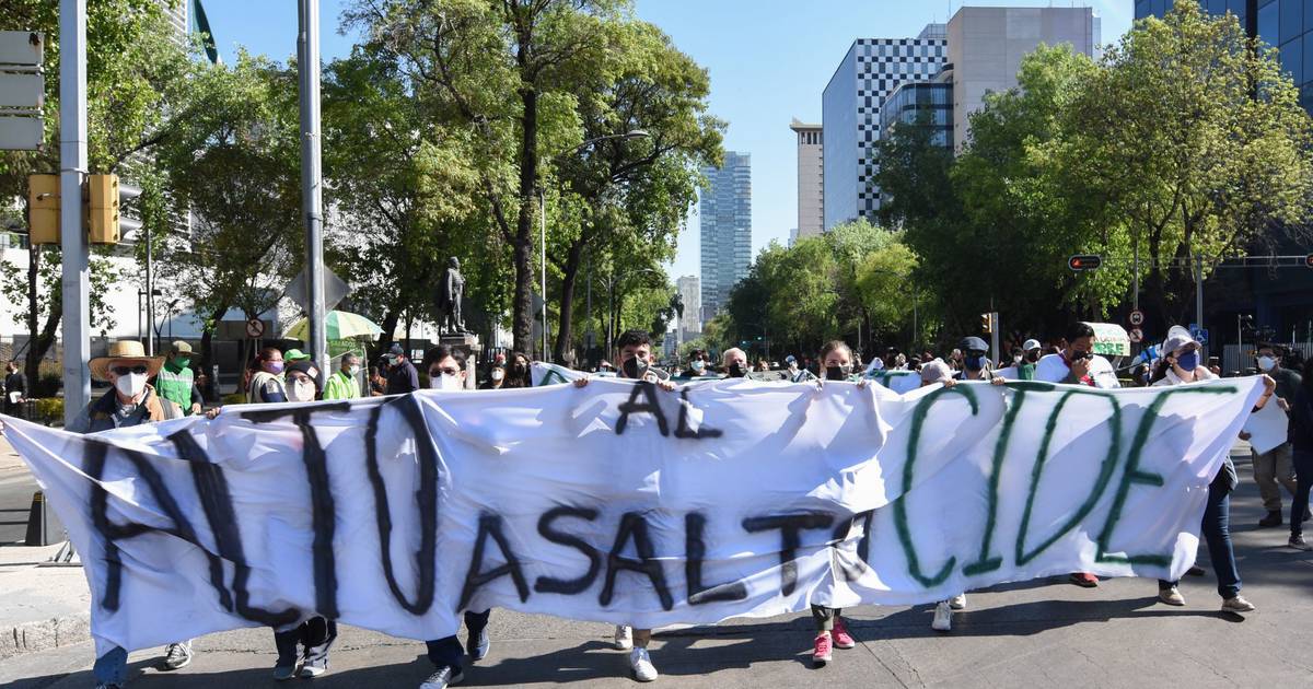 Estudiantes del CIDE van a Palacio Nacional y piden a AMLO destitución de Romero Tellaeche