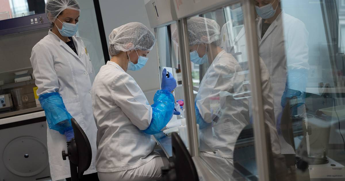 Especialistas viajarán a Ucrania para identificar a víctimas de la guerra