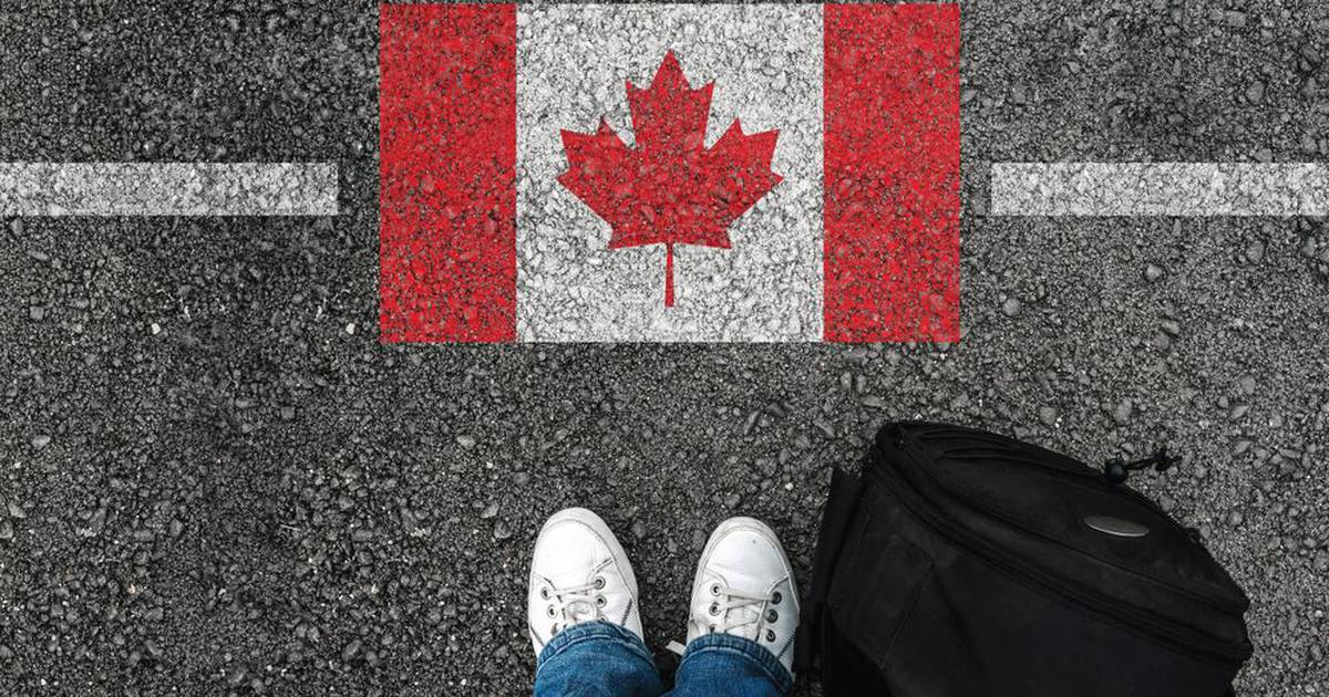 Canadá busca a mexicanos para supermercado; ofrece 36 mil pesos y no necesitas hablar inglés