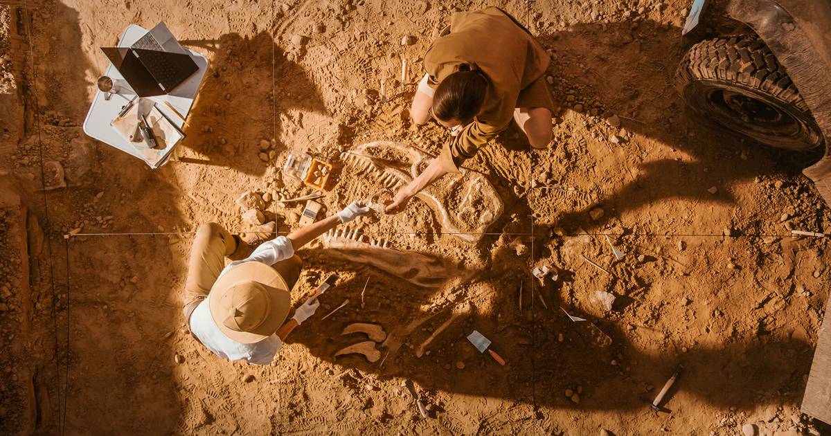 Encuentran fósil de dinosaurio que murió cuando cayó el asteroide que extinguió los réptiles