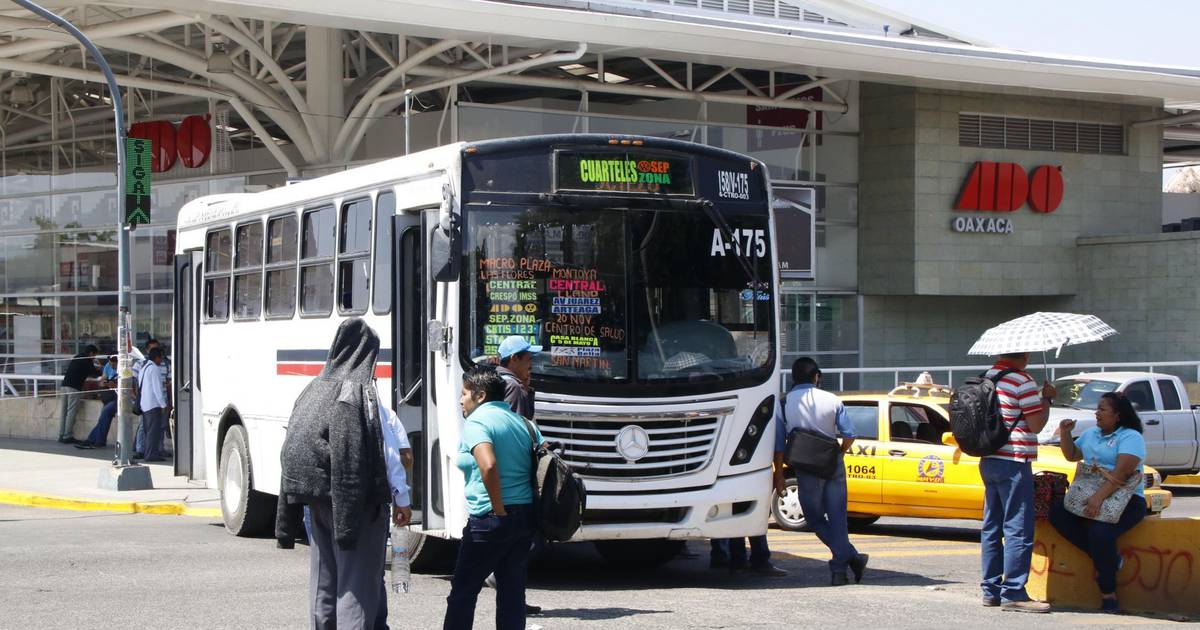 ¿Una escapadita? Aprovecha los descuentos para maestros y estudiantes en autobuses