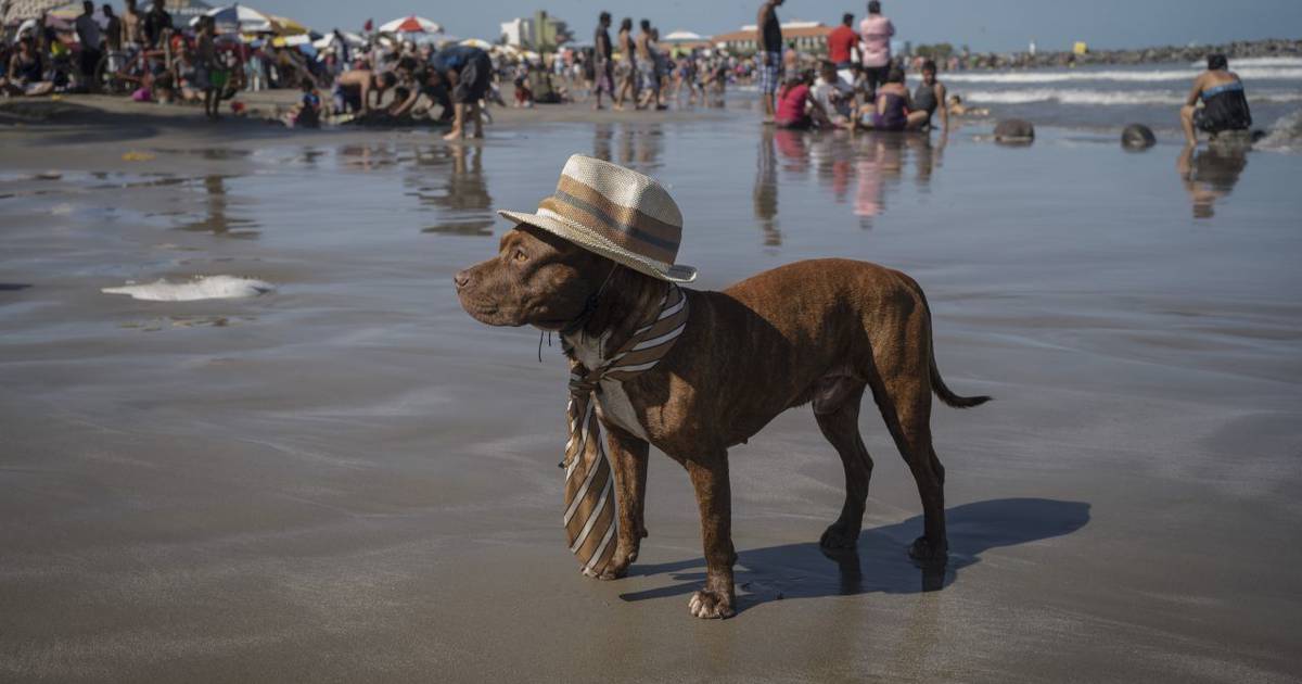 Ley Seca no afectará zonas turísticas de Veracruz