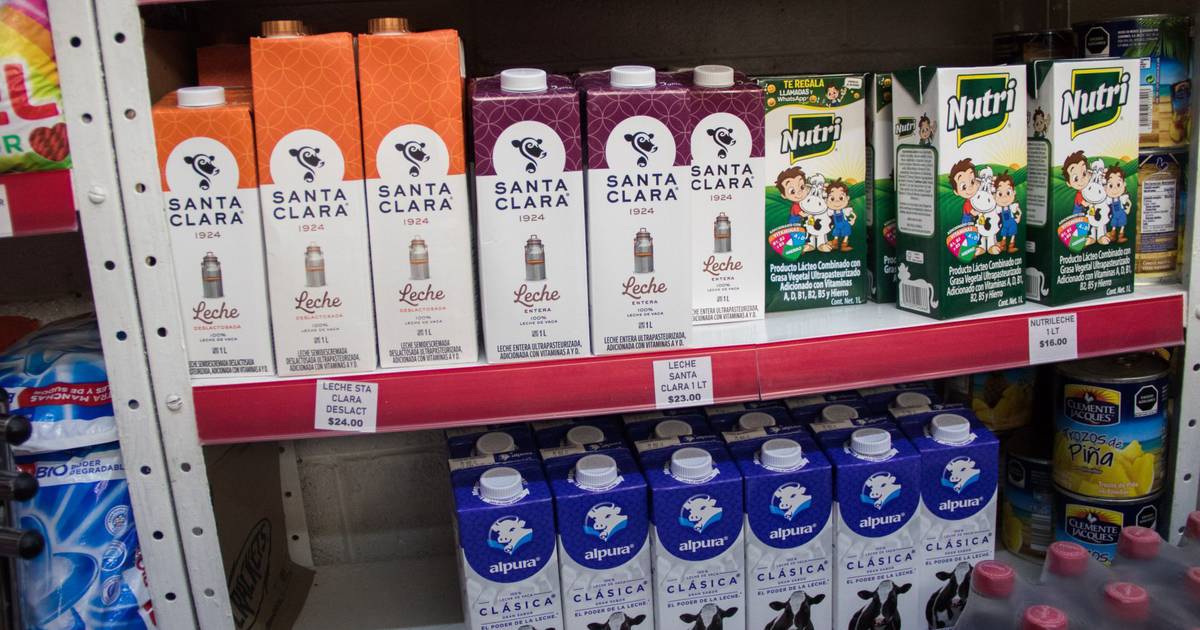 Hasta la última gota… Gobierno pide a lecheros producir más para combatir inflación