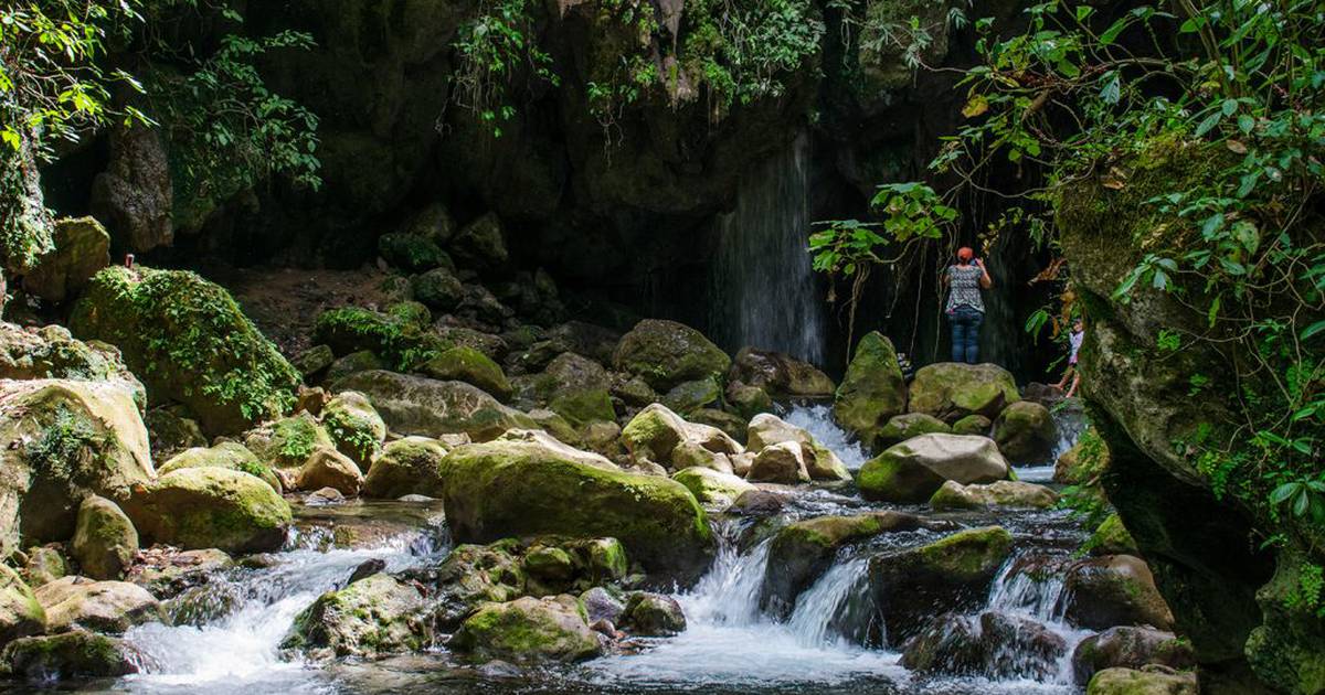 Regalos de la naturaleza: 5 Cascadas y ríos cerca de CDMX para salir de la rutina