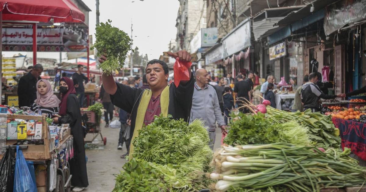 El conflicto de Ucrania y la inseguridad alimentaria