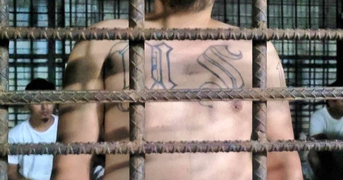 Detienen a 9 mil pandilleros en 15 días en El Salvador