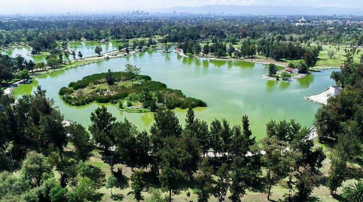 ¡Saca los manteles! Lugares para hacer picnic en CDMX
