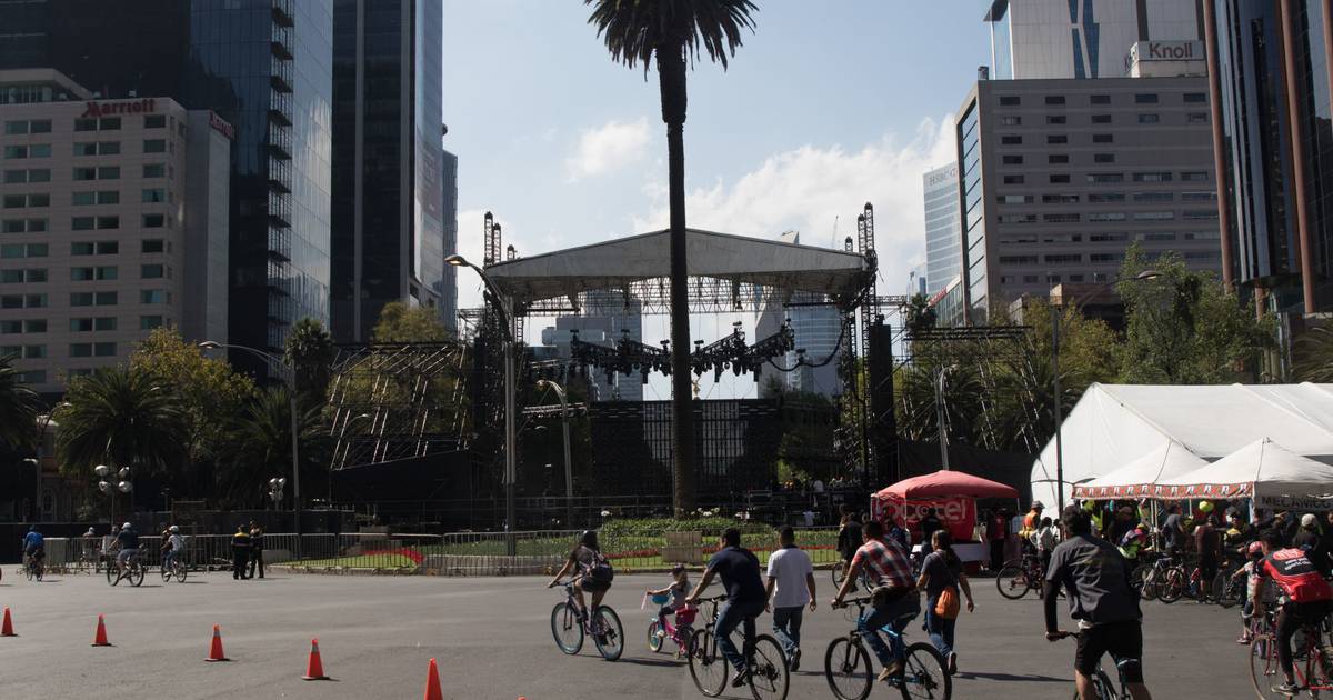 ¿Es este un adiós? Podrían retirar palma de Reforma debido a que la invadió una plaga