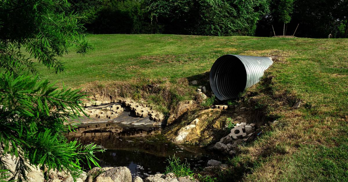 Expertos de la UNAM estudian carga viral de COVID en agua usada para riego de alimentos