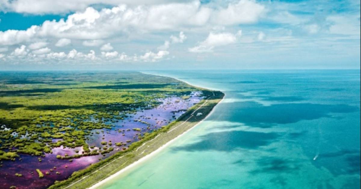 Sisal, la tranquila playa de olas cristalinas que amarás en Yucatán