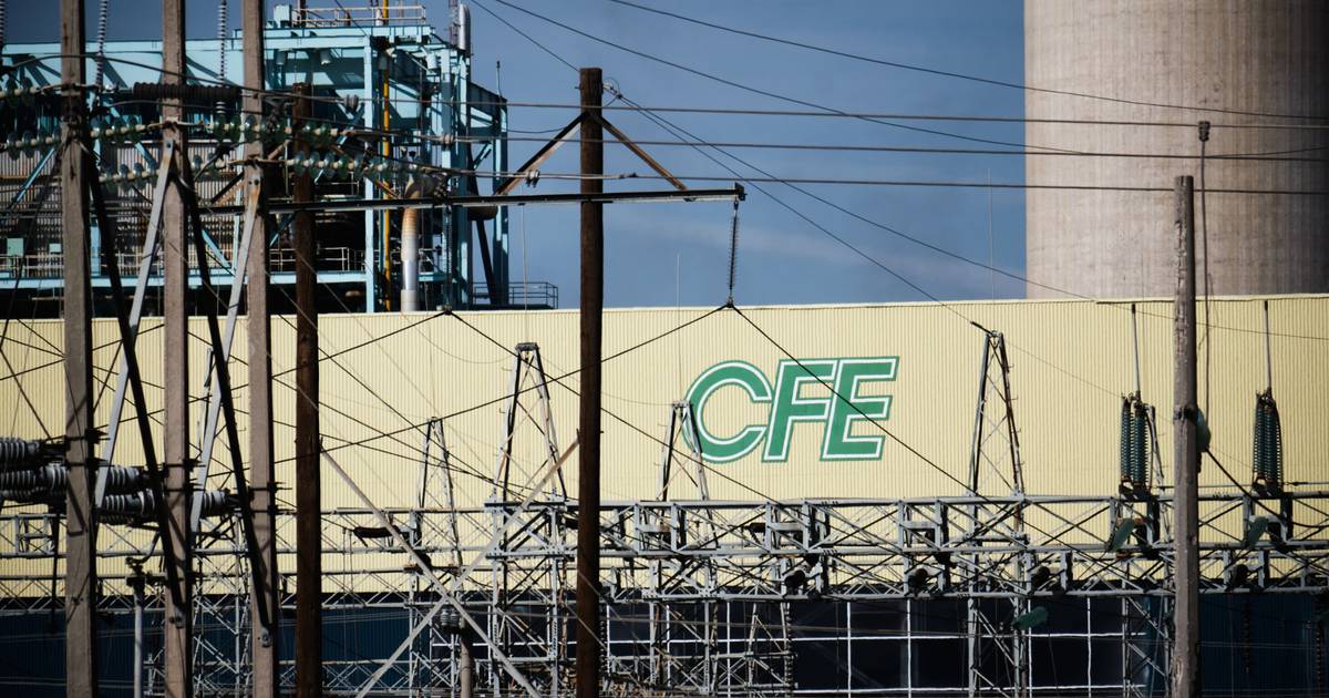 Darwin no cabe aquí