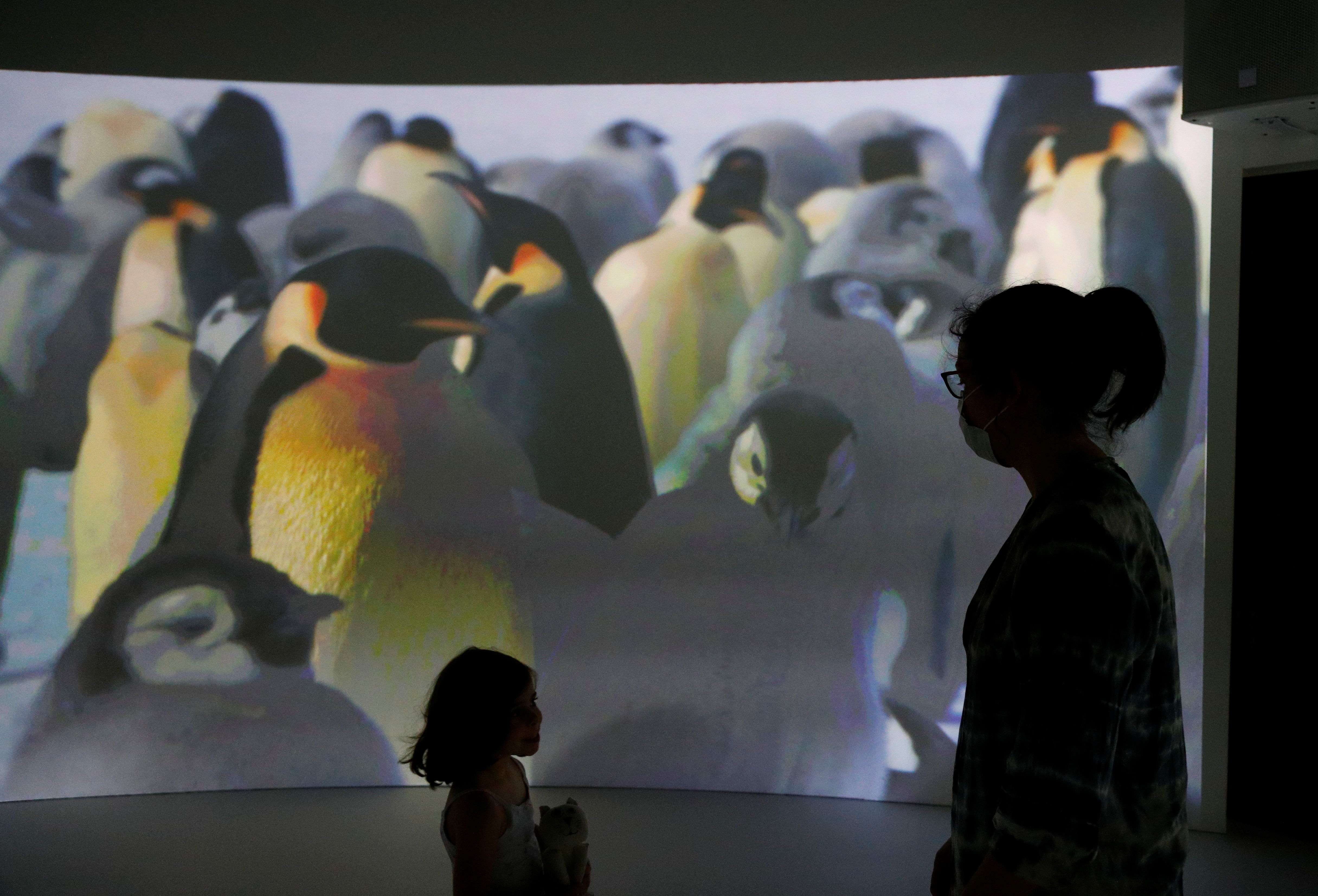 El Tratado Antártico definió a la Antártida como un sitio dedicado a “la libertad de investigación científica con fines pacíficos y la armonía internacional” (REUTERS)