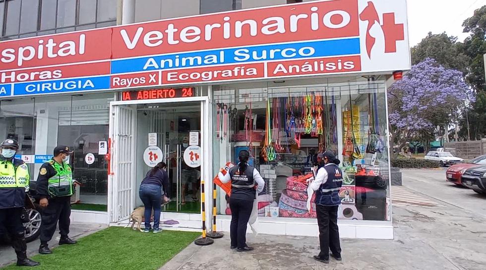 Delincuencia en Surco: veterinaria ha sufrido 9 robos en apenas cinco meses