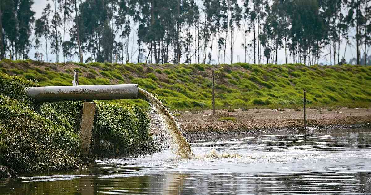Procuraduría solicita informe sobre el avance de la sentencia que ordenó la descontaminación del río Bogotá