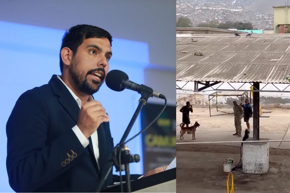 Regidor que denunció maltrato animal en el Ejército señala que esta sería una práctica recurrente