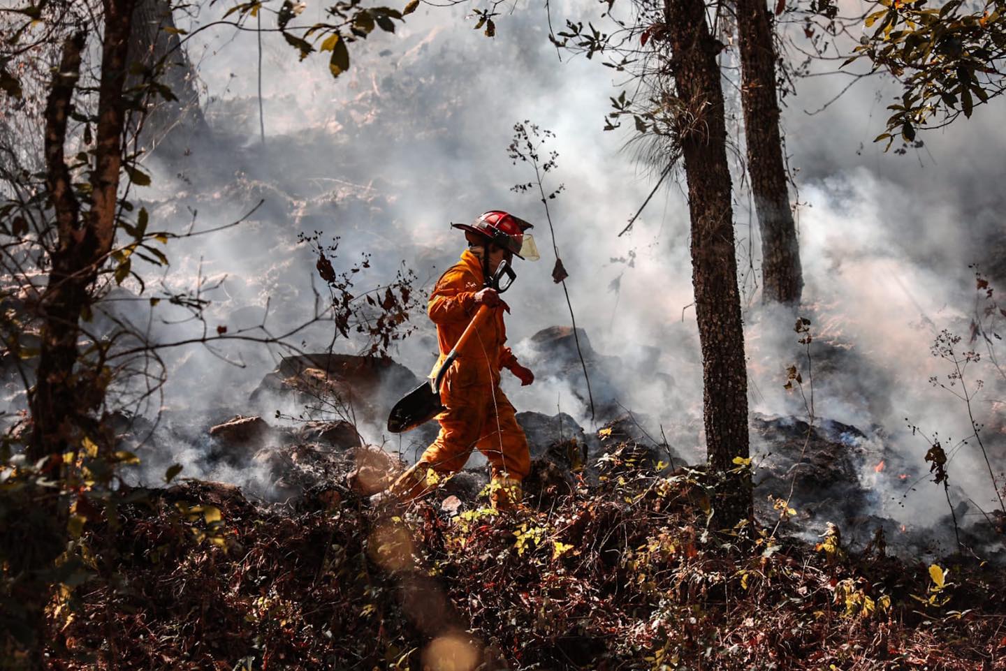 Falleció comunero de Oaxaca mientras combatía un incendio forestal