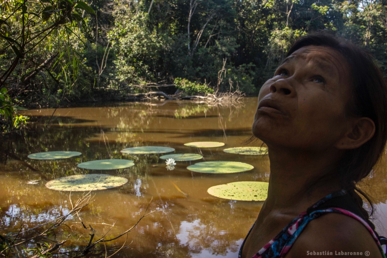 Parque Nacional Amacayacu, en el Amazonas, reabrió sus puertas al público