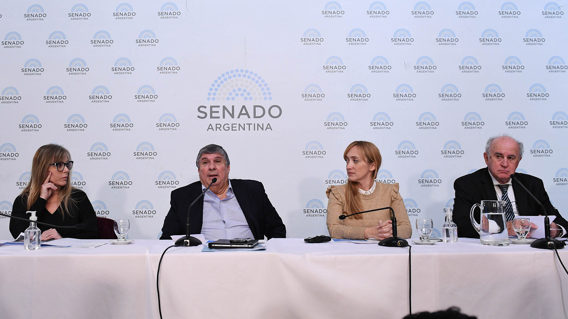 Senado: luego de los embates contra la Justicia, el kirchnerismo buscará avanzar con proyectos que habiliten la consulta popular