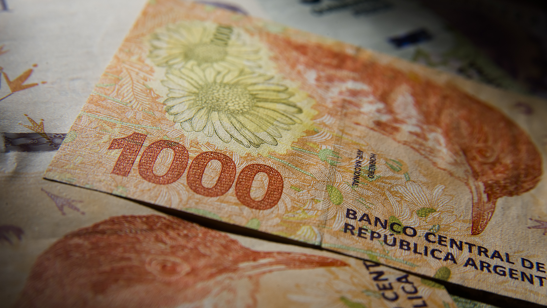 Bono de $18.000: cuándo cobrarán los casi 14 millones de personas que recibirán el refuerzo de ingresos