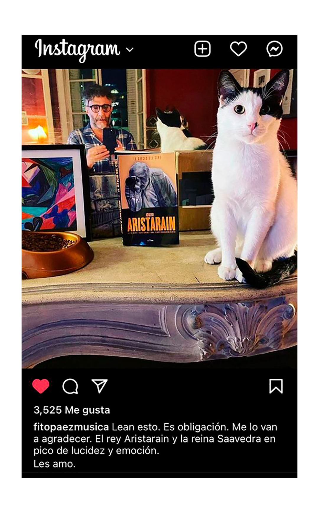 "Lean esto. Es obligación. Me lo van a agradecer. El rey Aristarain y la reina Saavedra en pico de lucidez y emoción. Los amo", posteó Fito Páez en su cuenta de Instagram sobre el libro