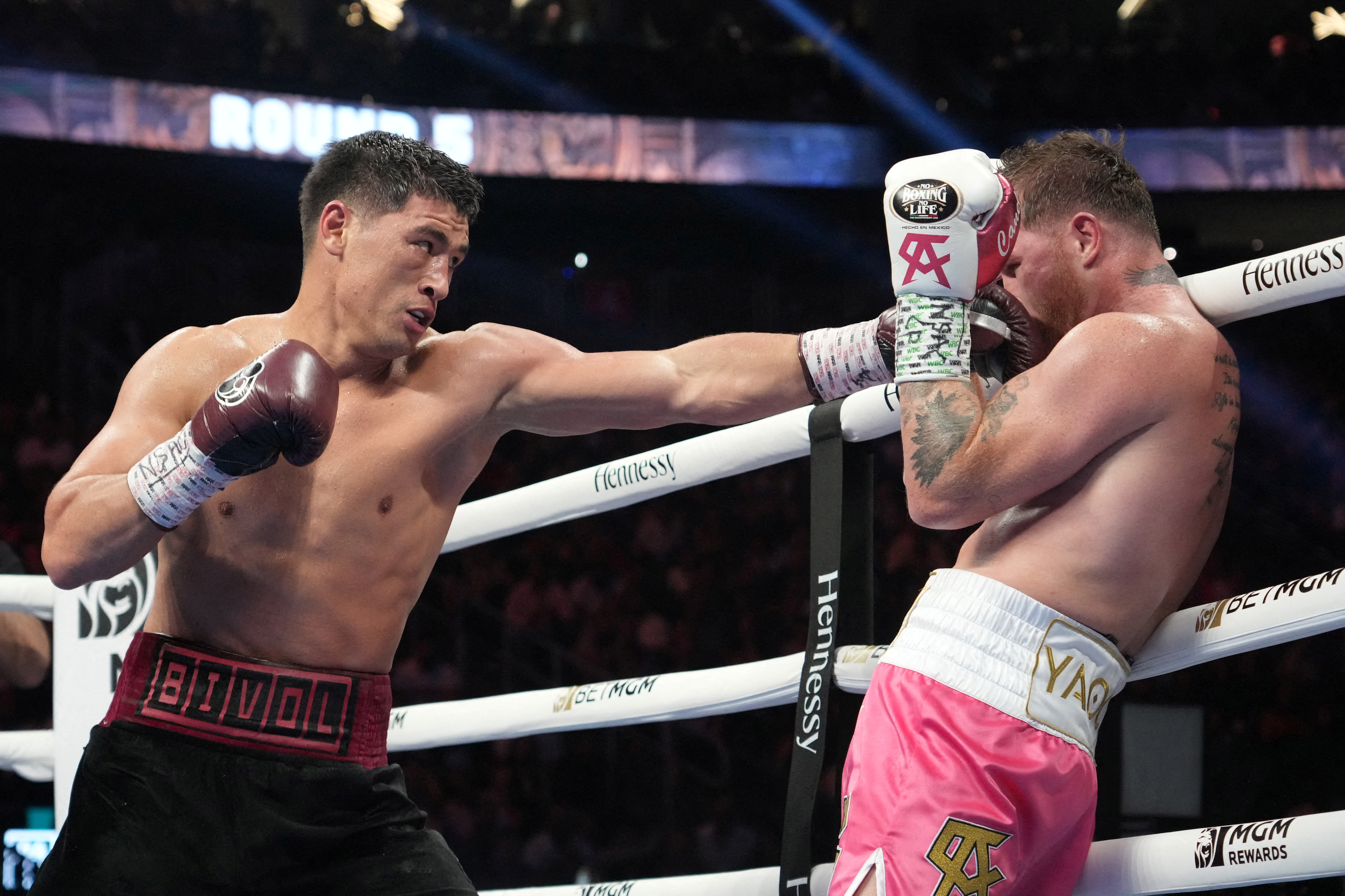 En su última pelea, Álvarez perdió contra el ruso Dmitry Bivol.