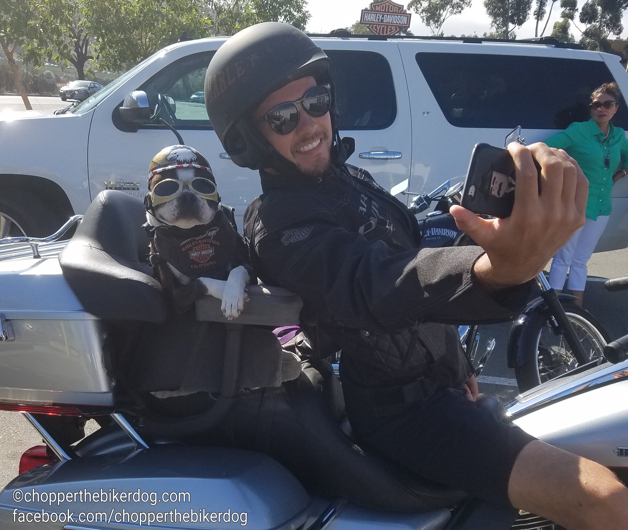 Sergio Checo Pérez con Chopper the Biker Dog en una foto que se volvió viral (Foto: Twitter/@checoarchive/chopperthebikerdog)