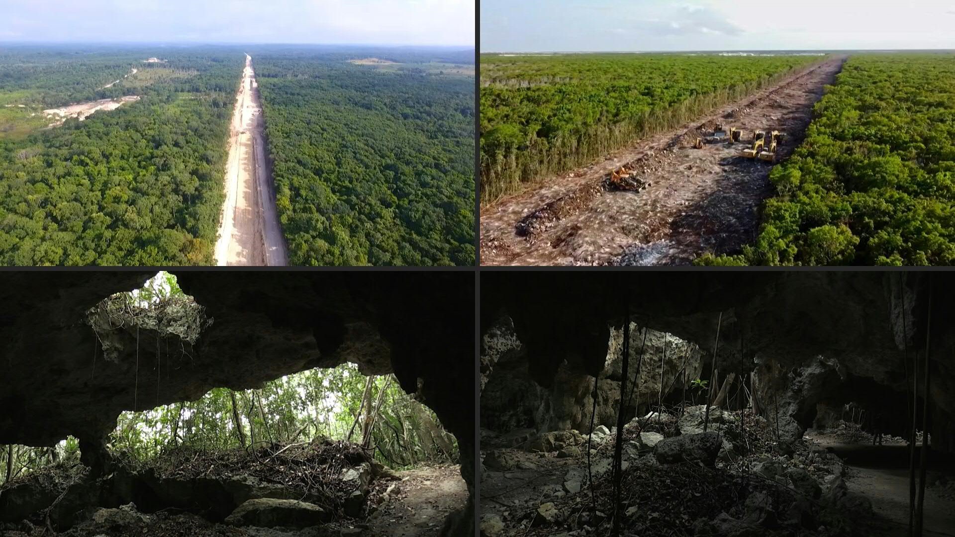 Tania Ramírez observa desconsolada los árboles talados para abrir paso al Tren Maya entre Playa del Carmen y Tulum, donde la megaobra del gobierno mexicano tropieza con un oasis de selva, ríos subterráneos y mar.