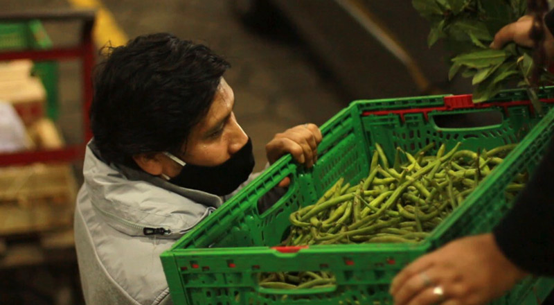Con las donaciones de los puesteros, el Área de Alimentación Sana, Segura y Soberana prepara cajones con frutas y verduras para entregar a los comedores populares. (Imagen: gentileza Área de Alimentación Sana, Segura y Soberana del Mercado Central)