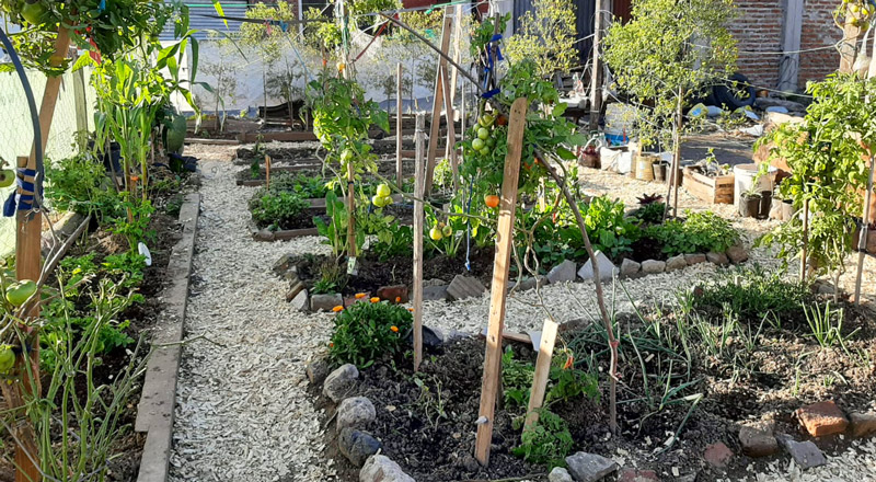 La huerta del comedor Comunidad Patria Grande (Imagen: gentileza María Blanco)