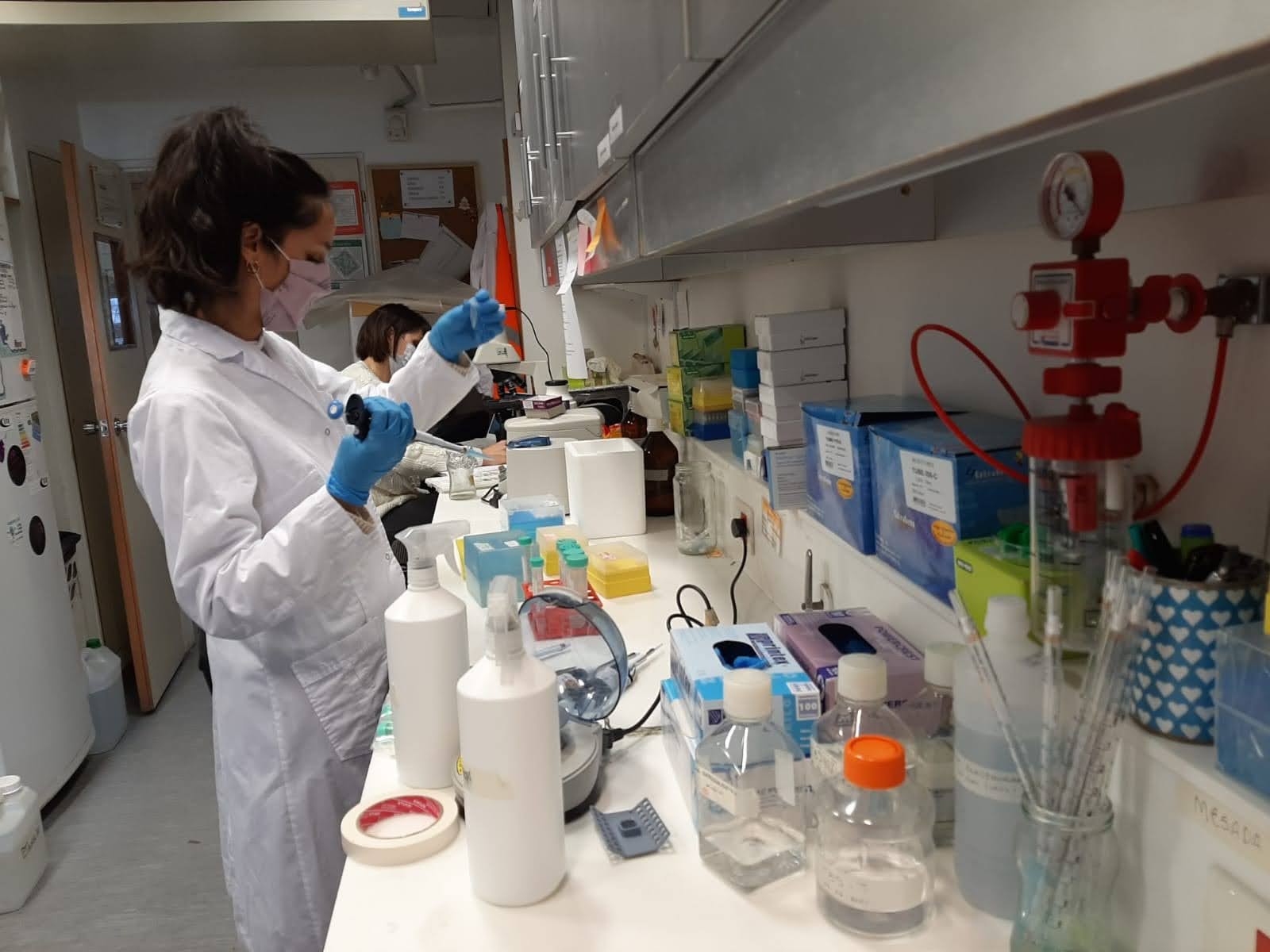 Los investigadores buscan que el test Oncoliq sea un método de bajo costo y escalable