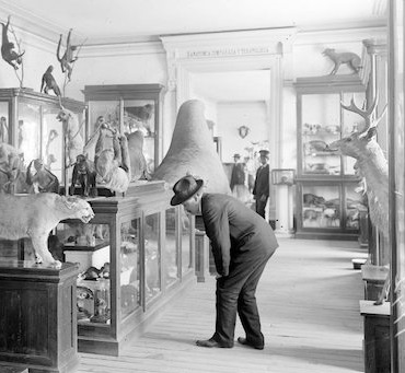 Longinos tuvo una enorme influencia en el estudio de las ciencias naturales en el virreinato al crear los primeros Gabinetes de Historia Natural, tanto de México como de Guatemala. Foto: SEDEMA