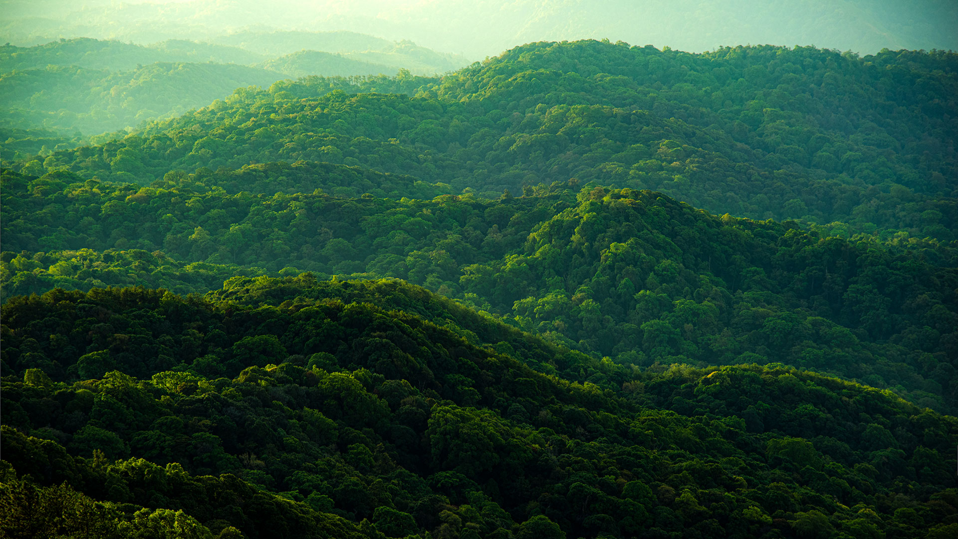 Según la Agencia de Protección Medioambiental estadounidense, los beneficios del reciclaje para el planeta son evidentes (Getty Images)