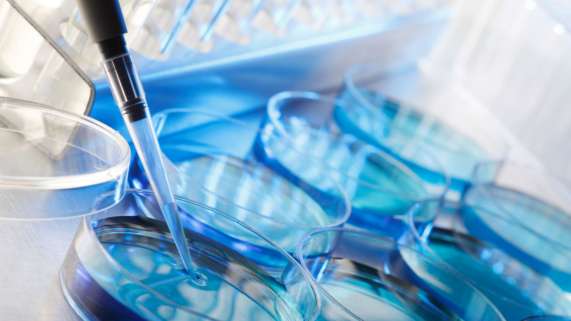 El diagnóstico molecular sobre el tumor o mediante el estudio de la sangre del paciente, permite personalizar el tratamiento según el perfil único de la persona y su enfermedad (Getty)