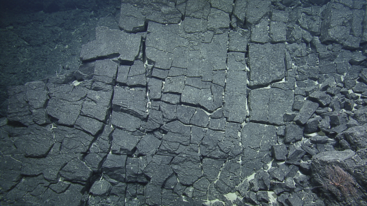 Buscan determinar los orígenes geológicos de las islas de Hawai (foto: Nautilus)