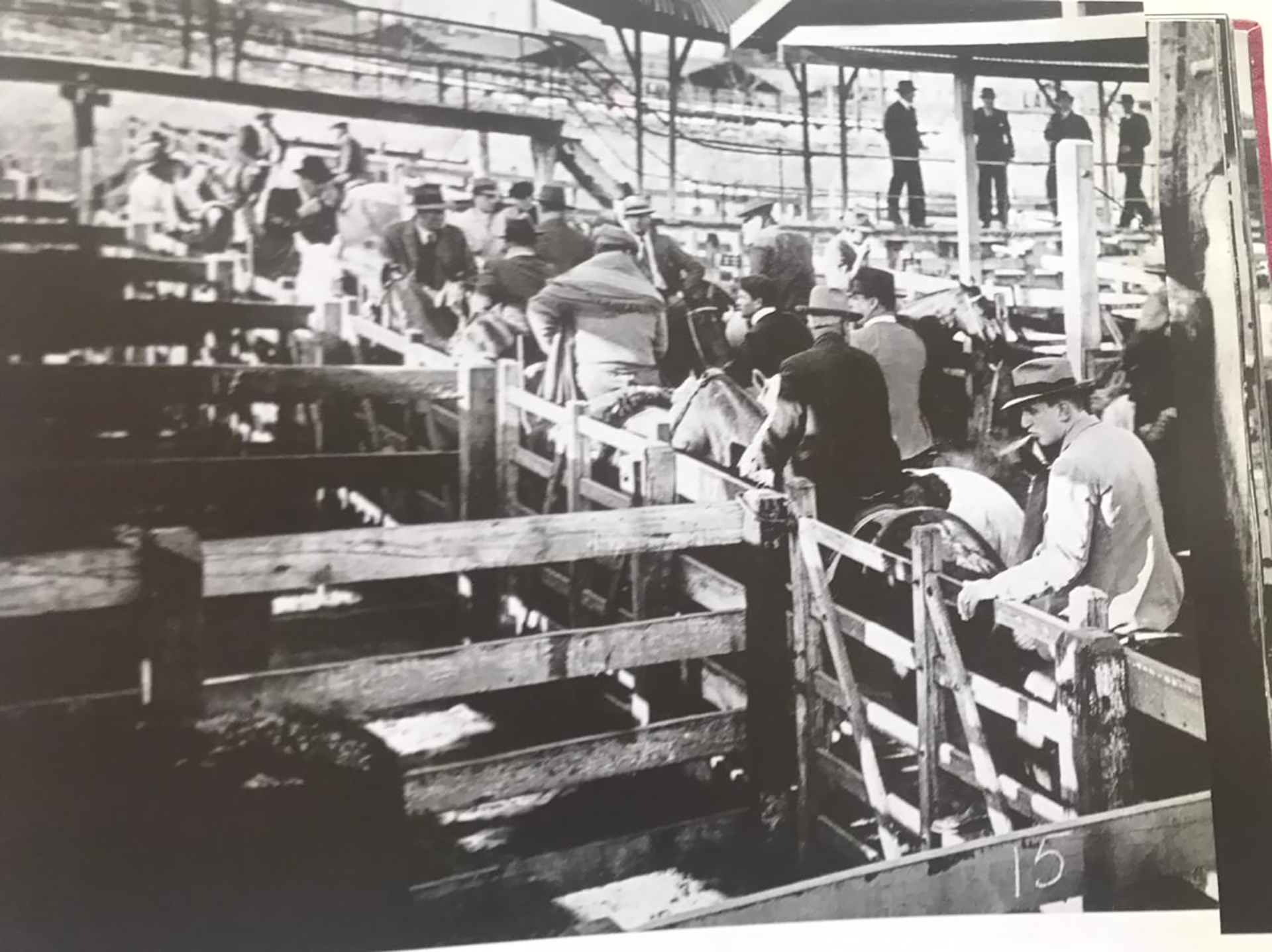 Los antiguos corrales de Liniers.