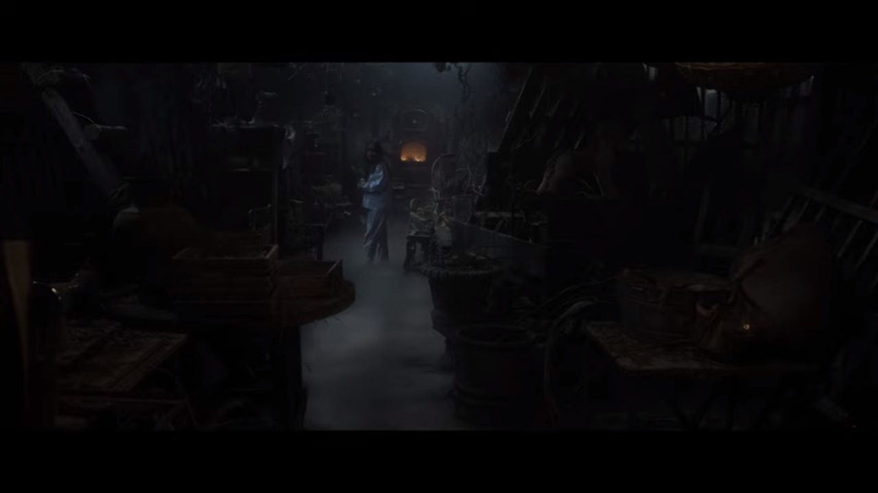 La actriz mexicana Raquel Rodríguez inició su carrera con un par de apariciones en la serie de 2019 "Dani Who?". (VideoCine)