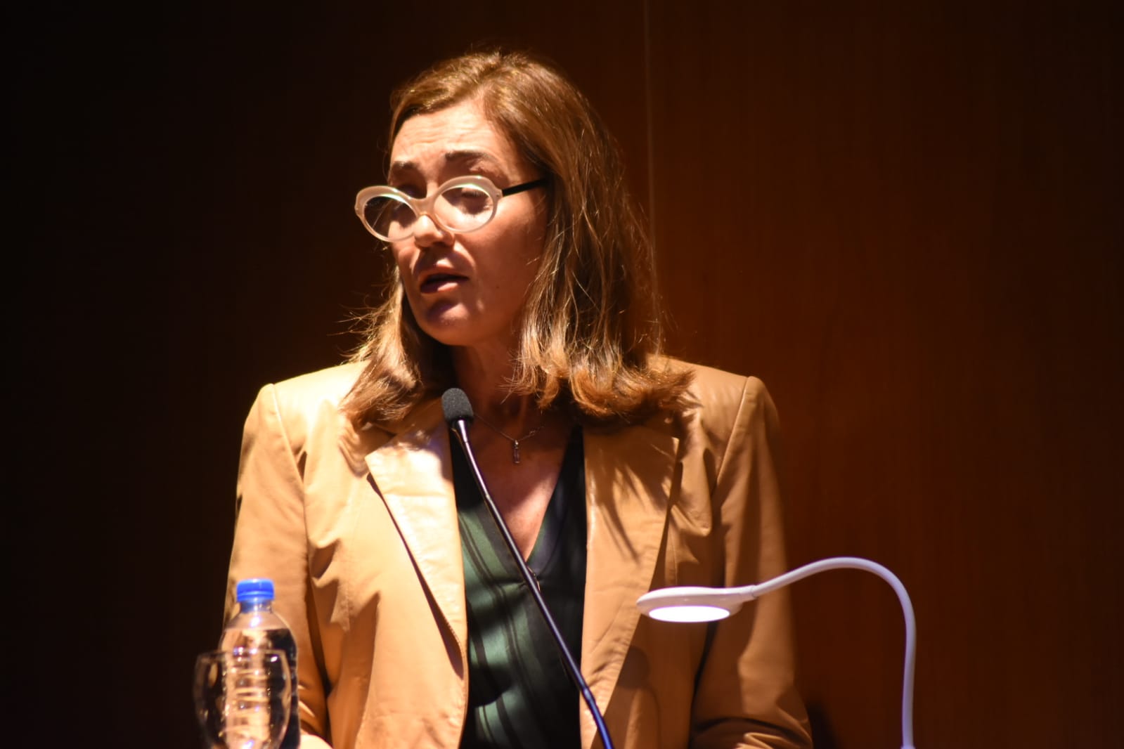 Alicia Vence, jueza federal de San Martín (Quique Galetto)