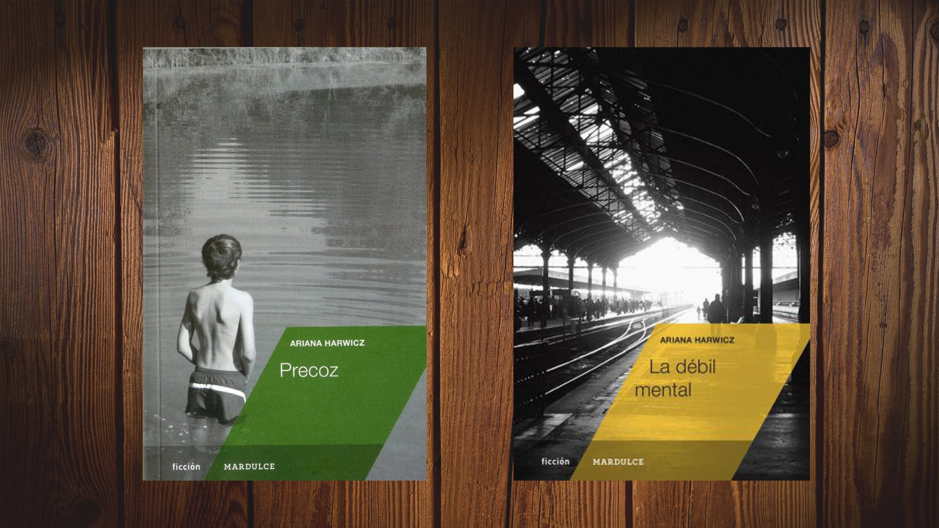 “Precoz” y “La débil mental”, de Ariana Harwicz, dos de las novelas de la autora adaptadas al teatro