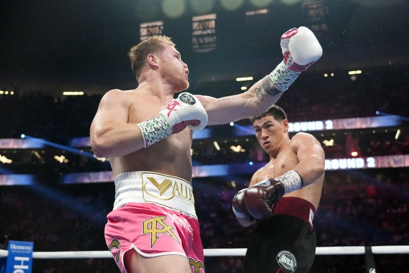 Canelo Álvarez perdió por decisión unánime ante Dmitry Bivol el pasado 7 de mayo (Foto: Reuters/Joe Camporeale)