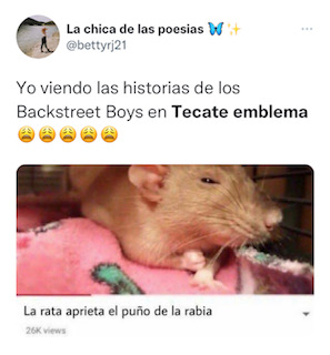 Tras llevarse a cabo la primera edición del festival en la Ciudad de México, usuarios reaccionaron con memes (Foto: Twitter / @bettyrj21)
