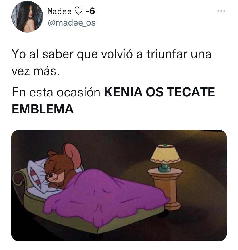 Tras llevarse a cabo la primera edición del festival en la Ciudad de México, usuarios reaccionaron con memes (Foto: Twitter / @madee_os)