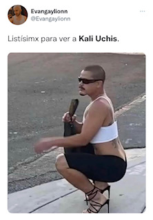 Tras llevarse a cabo la primera edición del festival en la Ciudad de México, usuarios reaccionaron con memes (Foto: Twitter / @Evagaylionn)