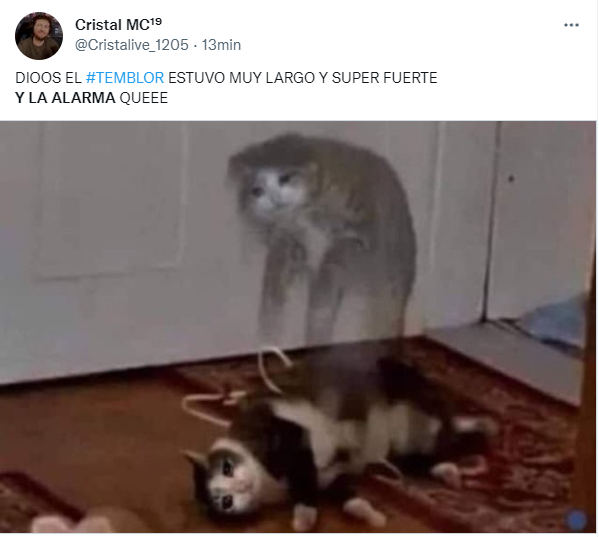 Memes del sismo que se registró hoy 12 de mayo en Lima.
