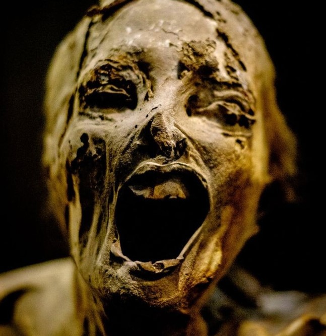 El objetivo del proyecto es dignificar cada cuerpo momificado. (Foto: Twitter@TraventureM)