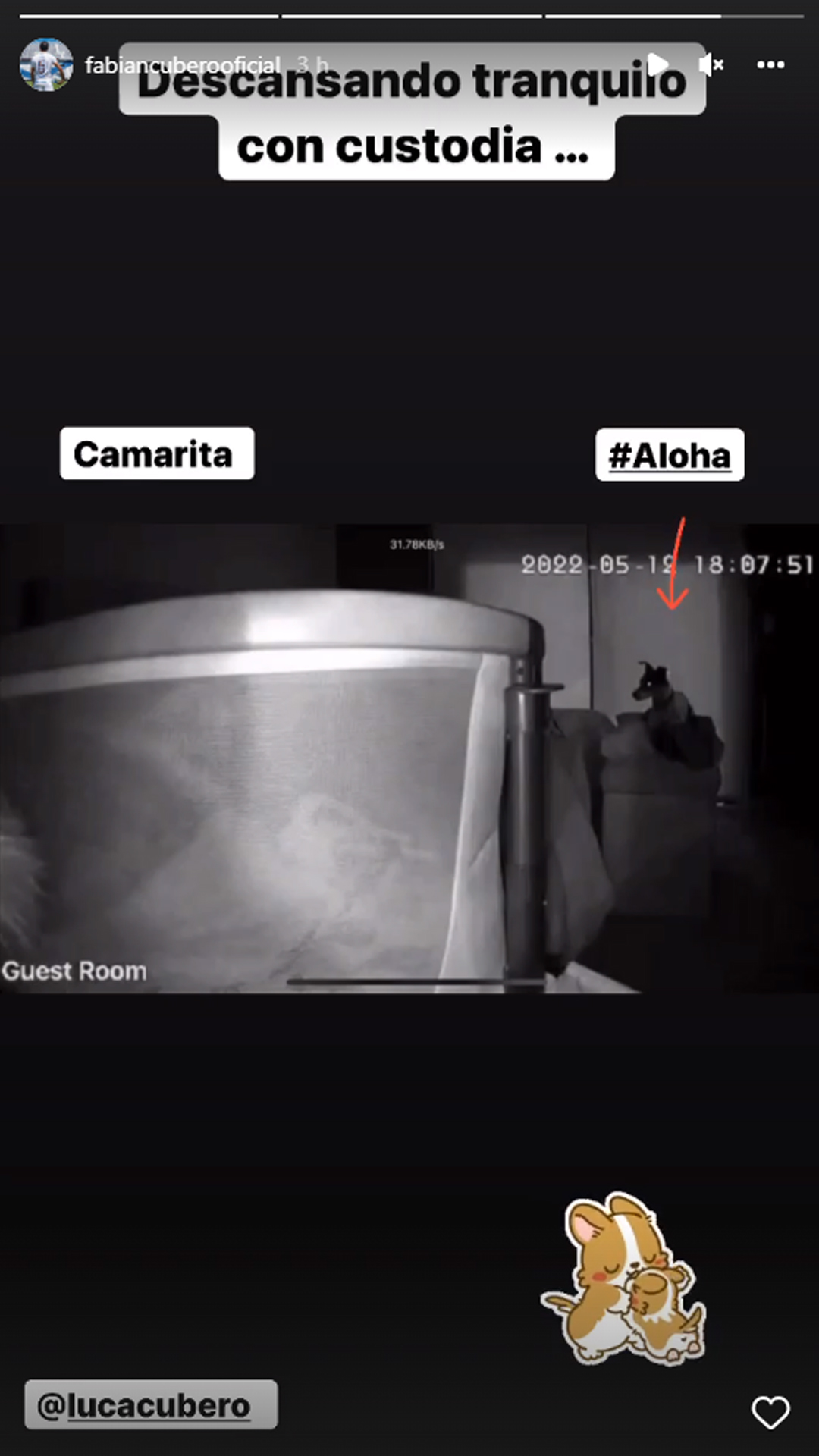 El registro de la cámara de seguridad que compartió Fabián Cubero: "Descansando tranquilo con custodia"