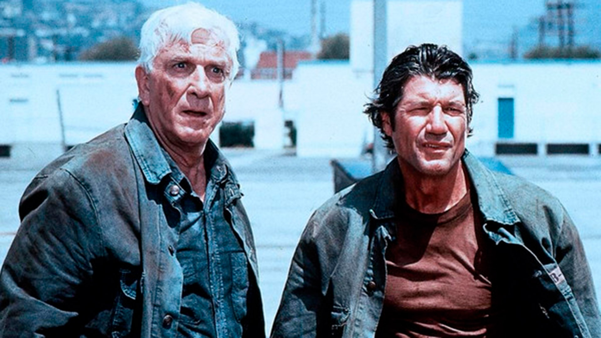 Junto a Leslie Nielsen, protagonizó la tercera entrega de la popular saga de "La pistola desnuda", de 1994