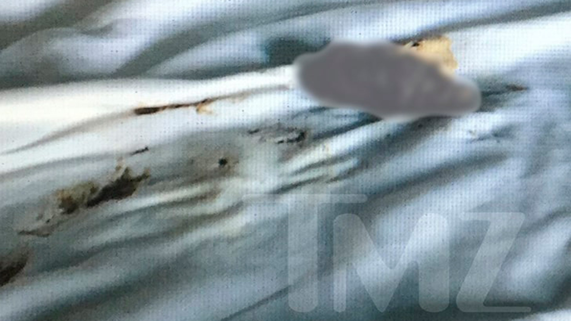 La fotografía de la supuesta broma de Amber Heard a Johnny Depp